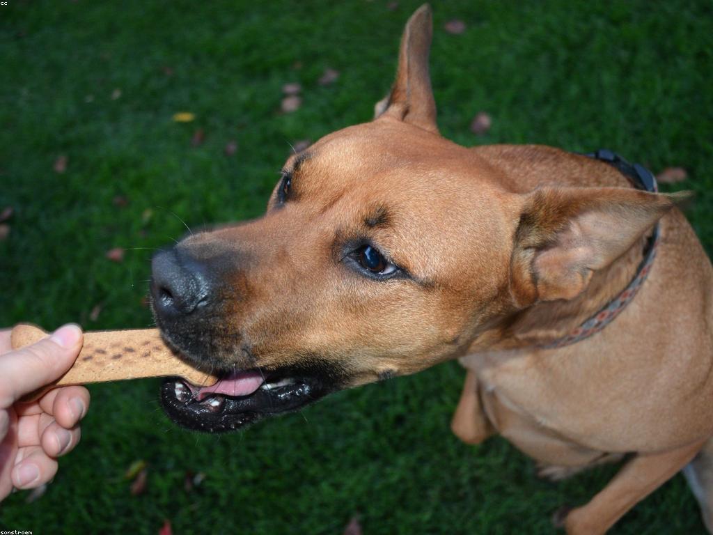 ការពិតនៃរង្វាន់: ការយល់ដឹងអំពីរង្វាន់