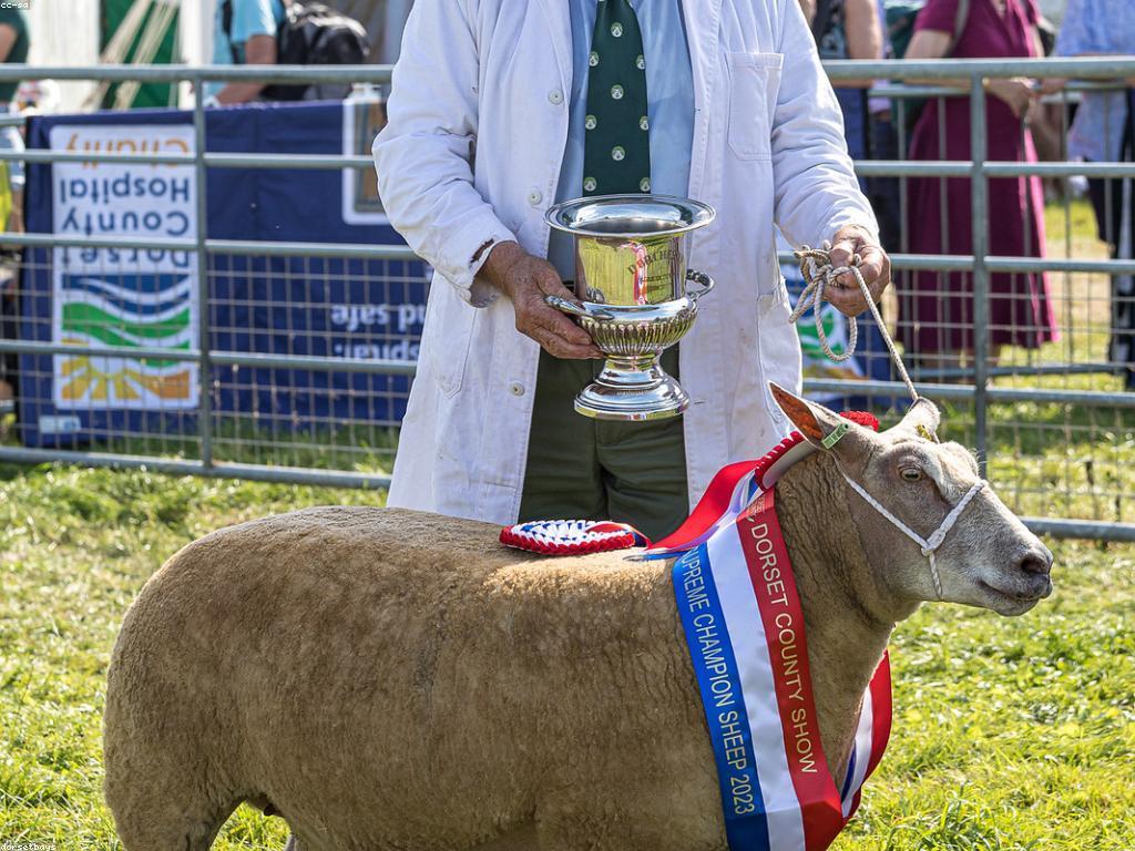 ការពិតនៃរង្វាន់: ការស្វែងយល់ពីអត្ថន័យនៃការប្រកួត