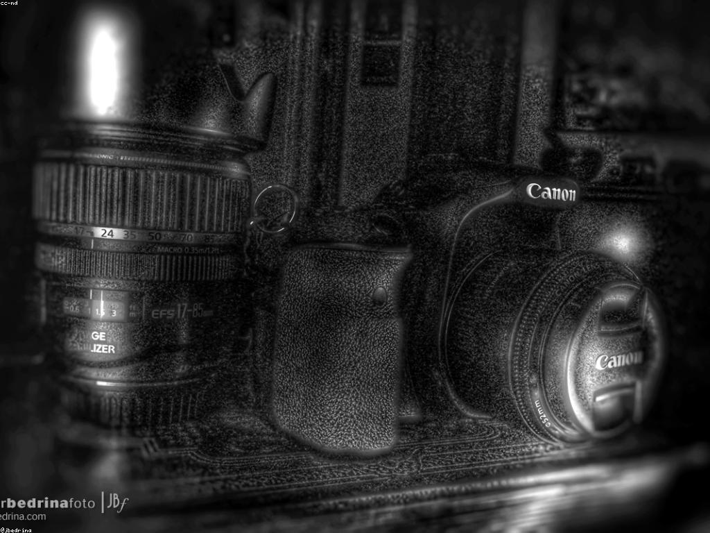 សម្រាប់អ្នកដំបូង: ការចាប់ផ្តើមដ៏អាជីពសម្រាប់អ្នកថ្មី